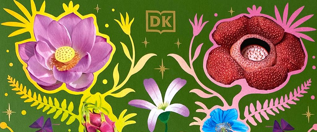 Große und kleine Schätze der Natur Pflanzen DK Verlag