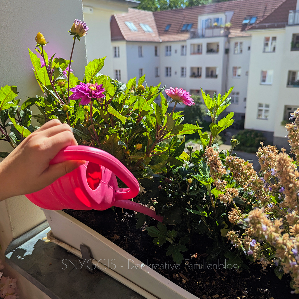 Blumen-auf-dem-Balkon