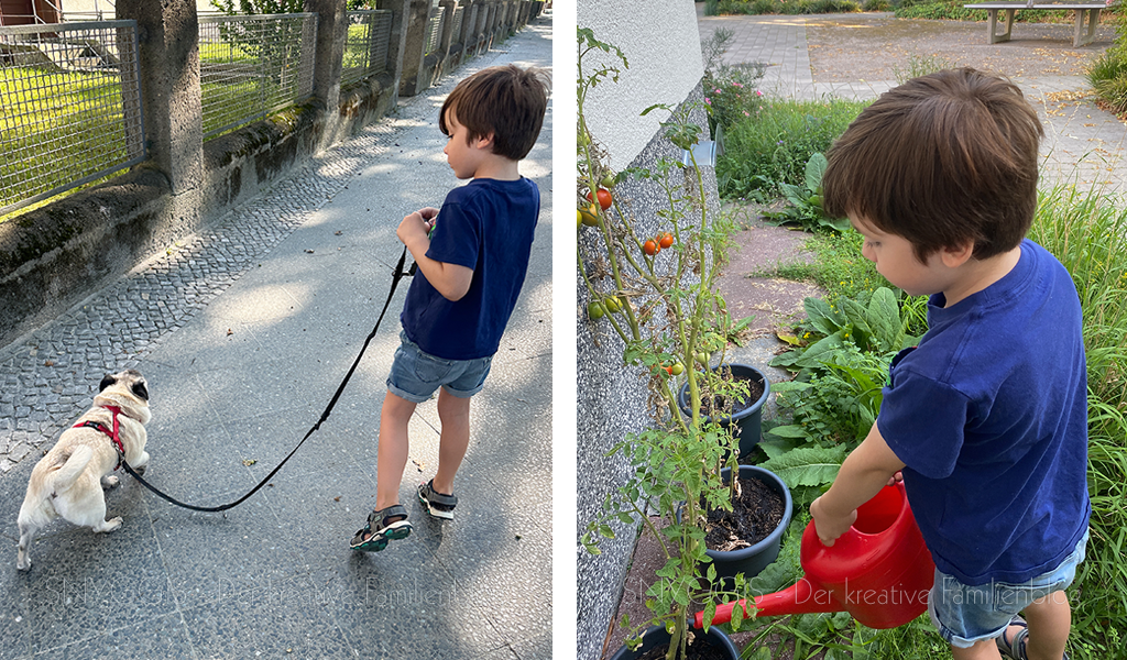Gassi-gehen-und-Tomaten-giessen