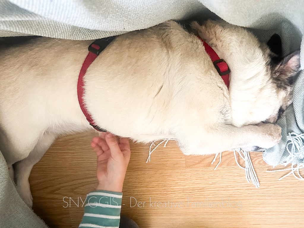 Mops