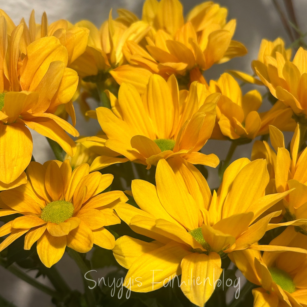 Blumenliebe 5 von 12