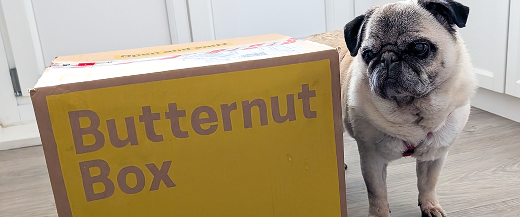 Butternut Box