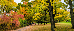 Herbststimmung