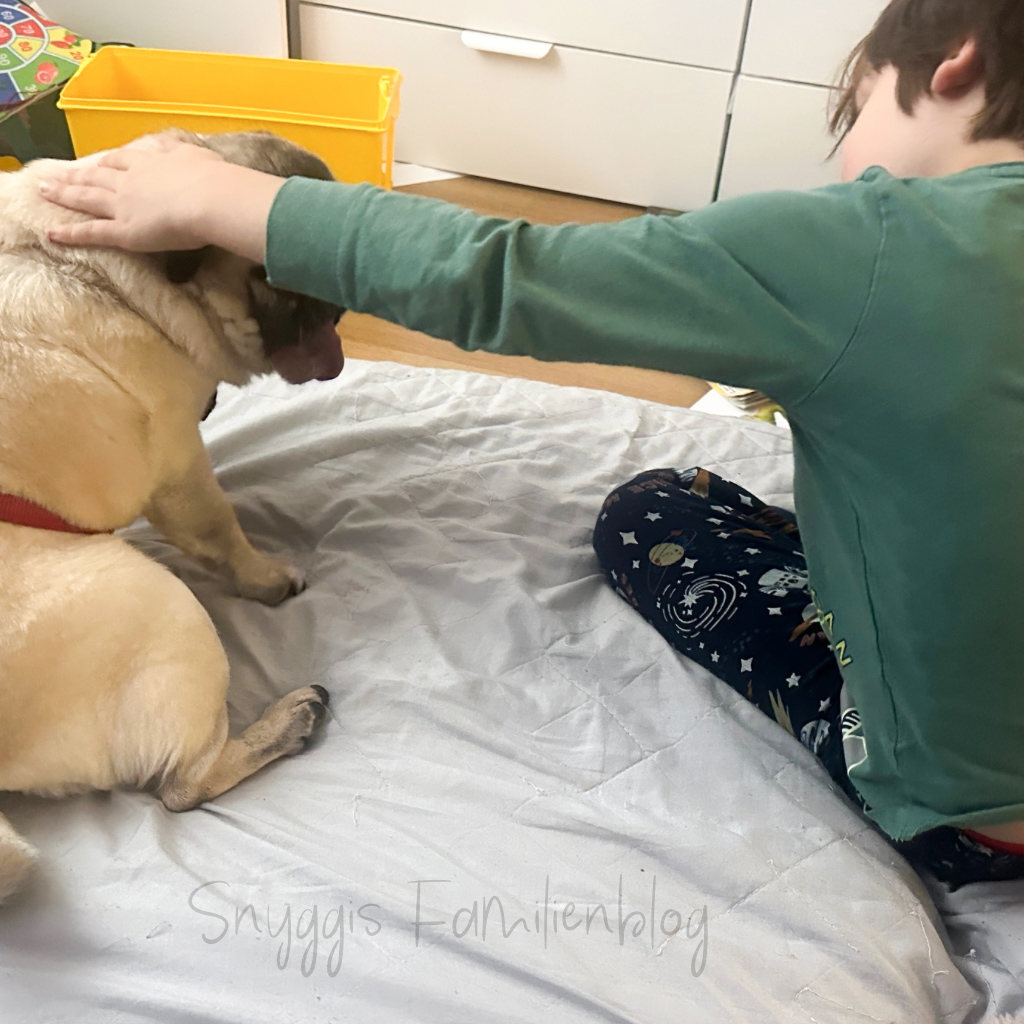 3 von 12 - Mopskuscheln - Kuscheln mit Mops