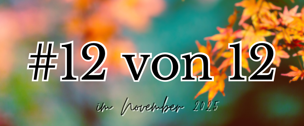 #12von12 - 12 von 12 im November 2025 - Titelbild