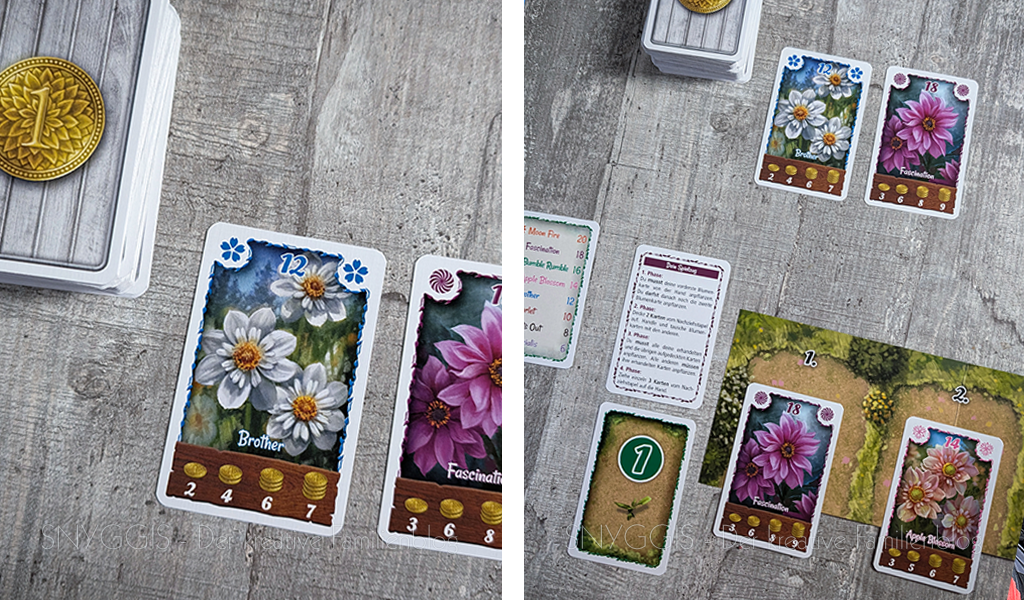 Brother-Fascination - Blumenkarten aufdecken - AMIGO Spiele Bohnanza Dahlia