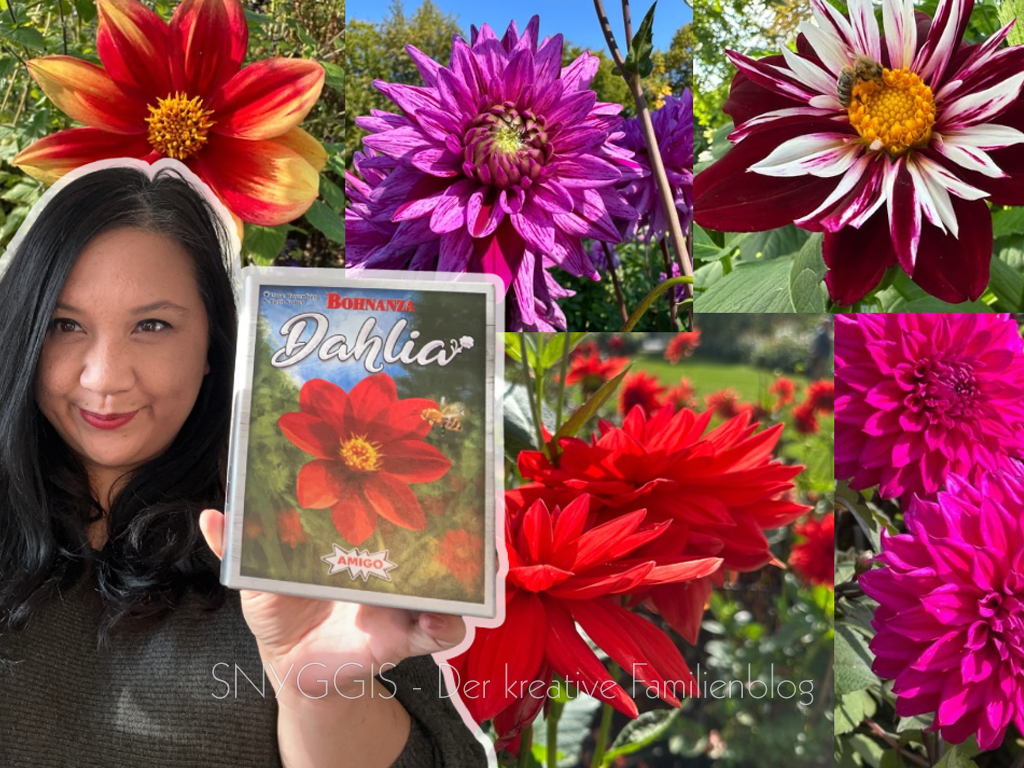 Dahlien Blumenpracht - AMIGO Spiele Bohnanza Dahlia