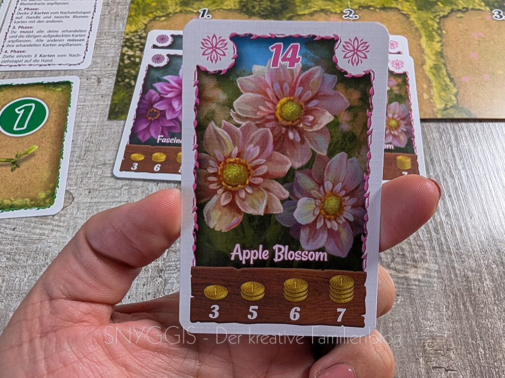 Querkarten anpflanzen - AMIGO Spiele Bohnanza Dahlia