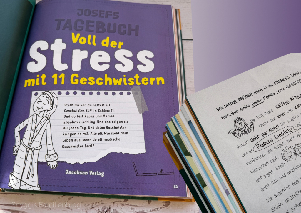 Das Megabuch - Josefs Tagebuch - Bibel einmal ganz anders