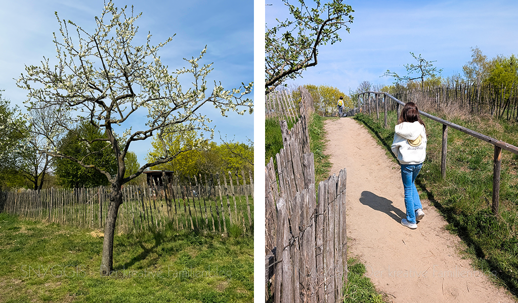 Sonnenstrahlen-geniessen