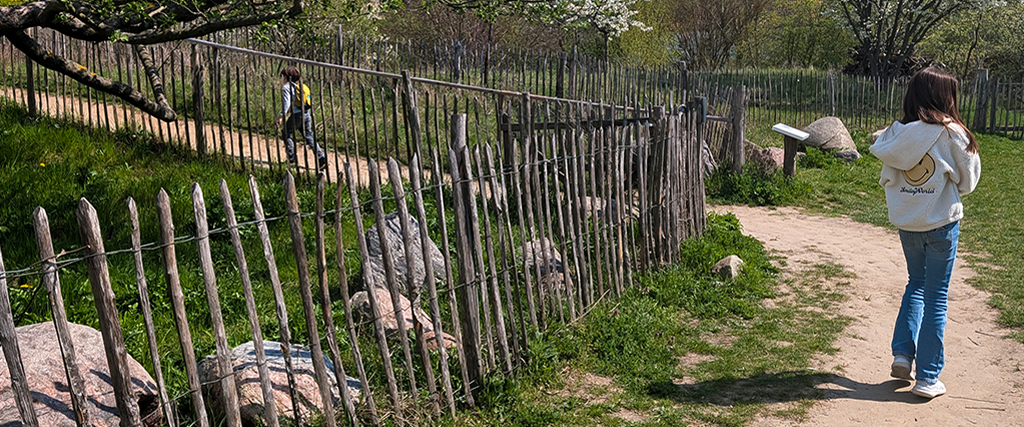 Wiedereinmal Domäne Dahlem