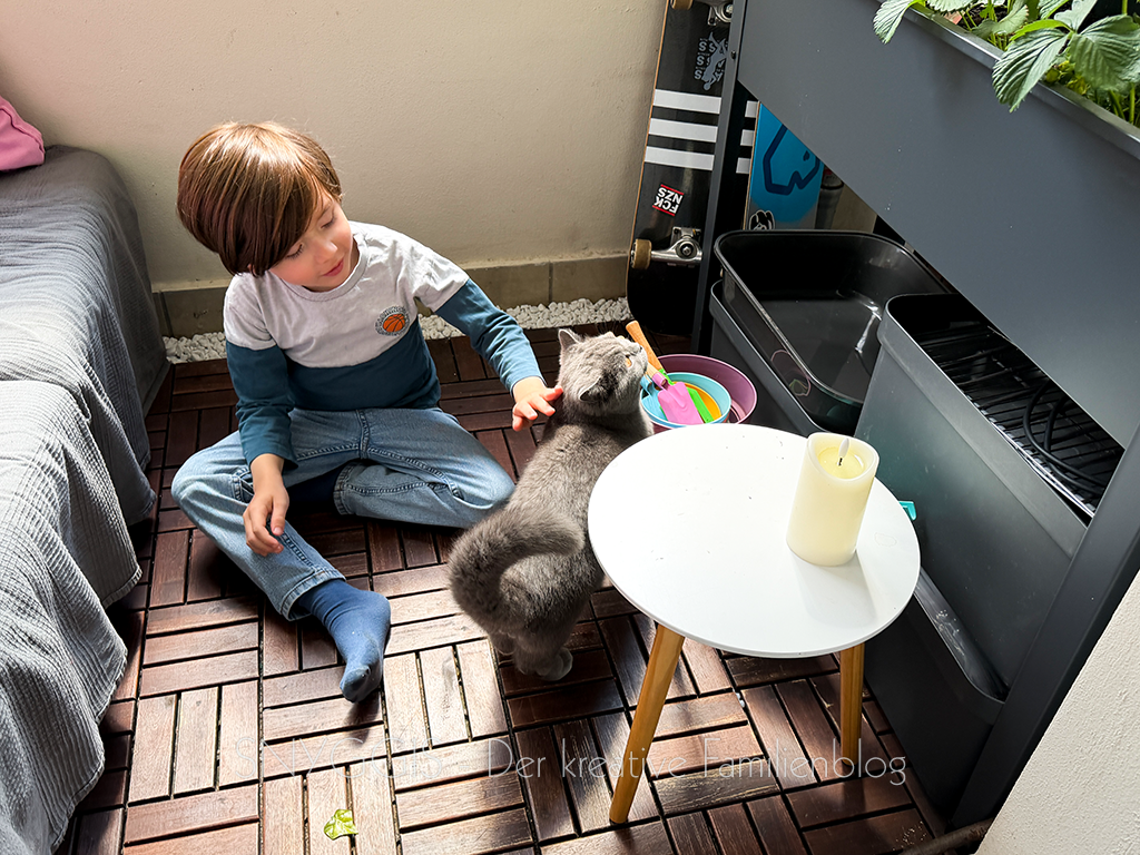 Kater-auf-dem-Balkon