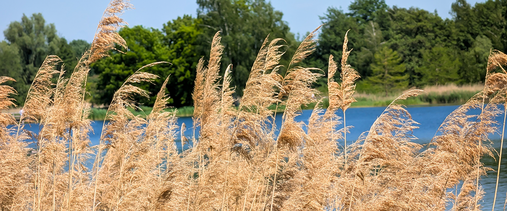 Wochenende in Bildern im Britzer Garten