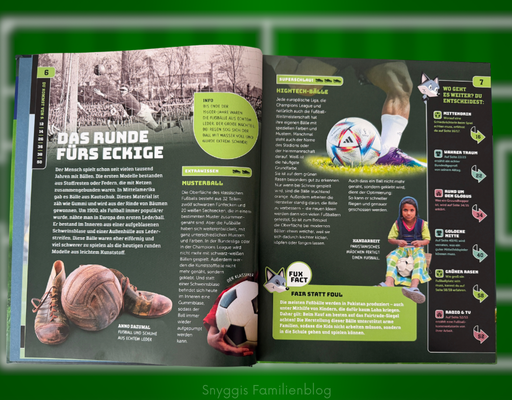 Lesetipp Fußballsommer 2026 SchlauFUX Fußball Kosmos