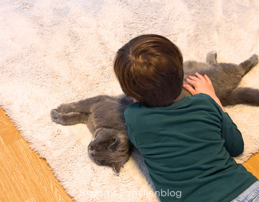 Kuschelkater 12 von 12 im Juni 2026 #12von12