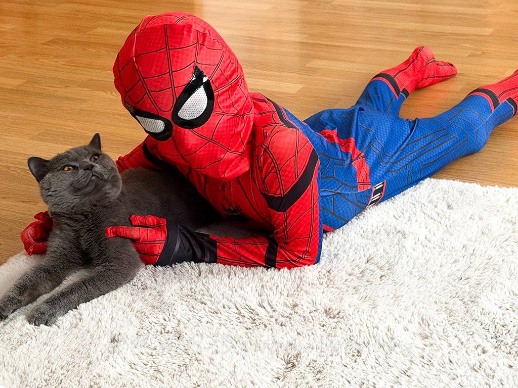 Spiderman
