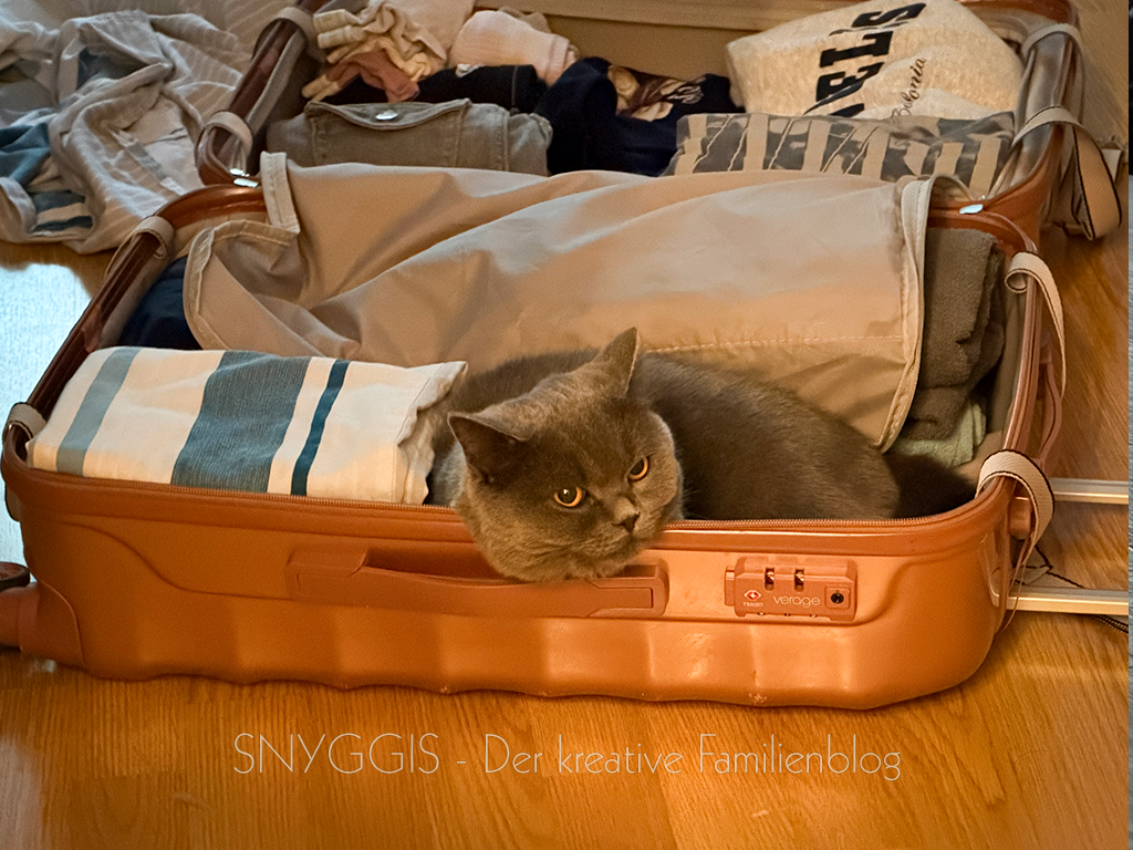 Koffer packen